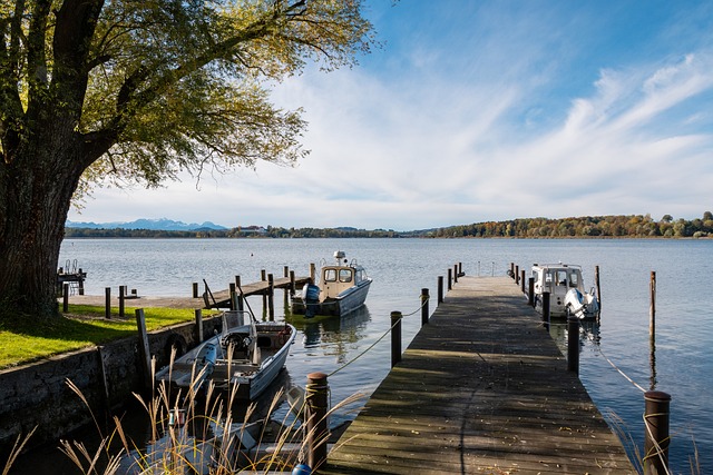 阿利亚西姆 阿利亚西姆