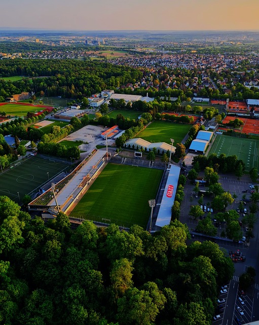 科学技术的 科学技术的