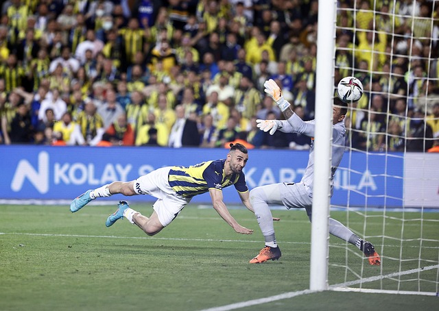 迷对赛事的 迷对赛事的