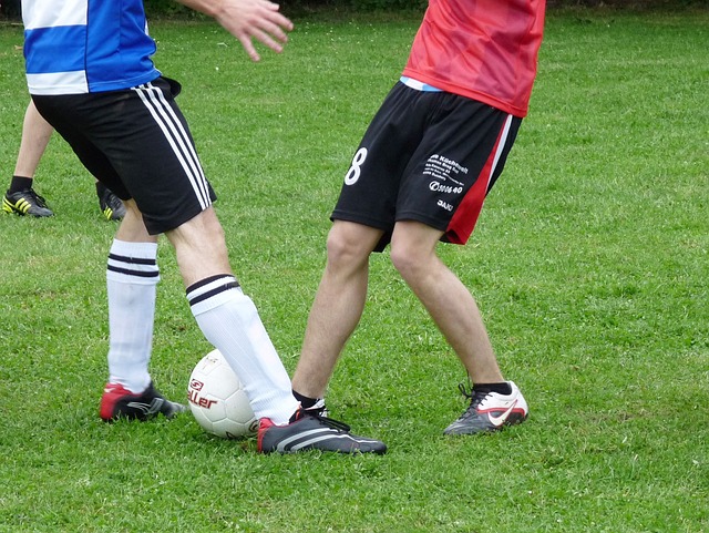 名度与美誉 名度与美誉