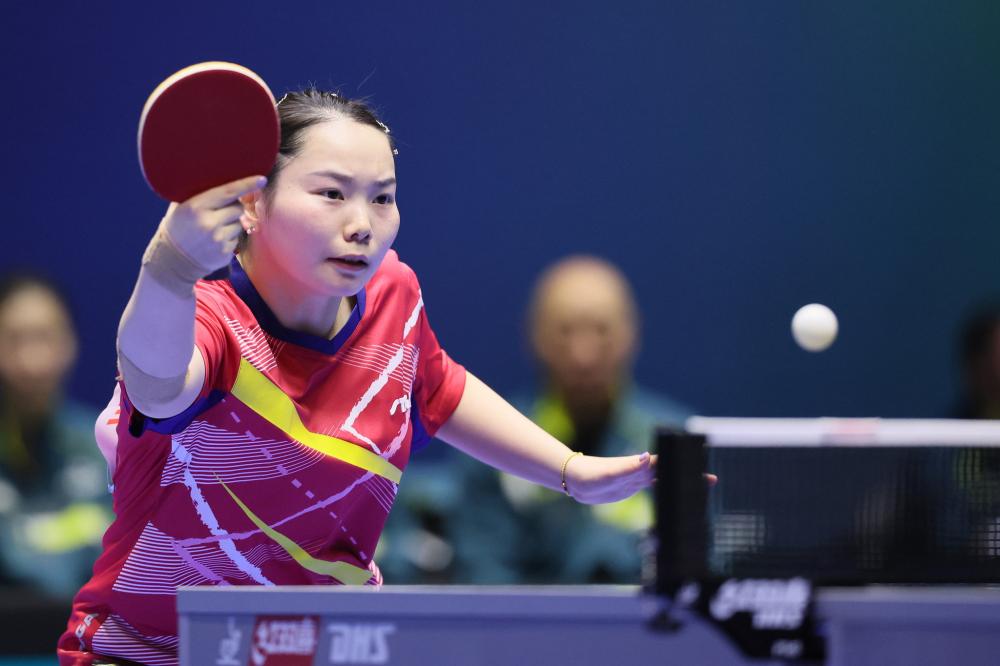 他职业生涯 他职业生涯