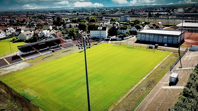 在面对强敌 在面对强敌